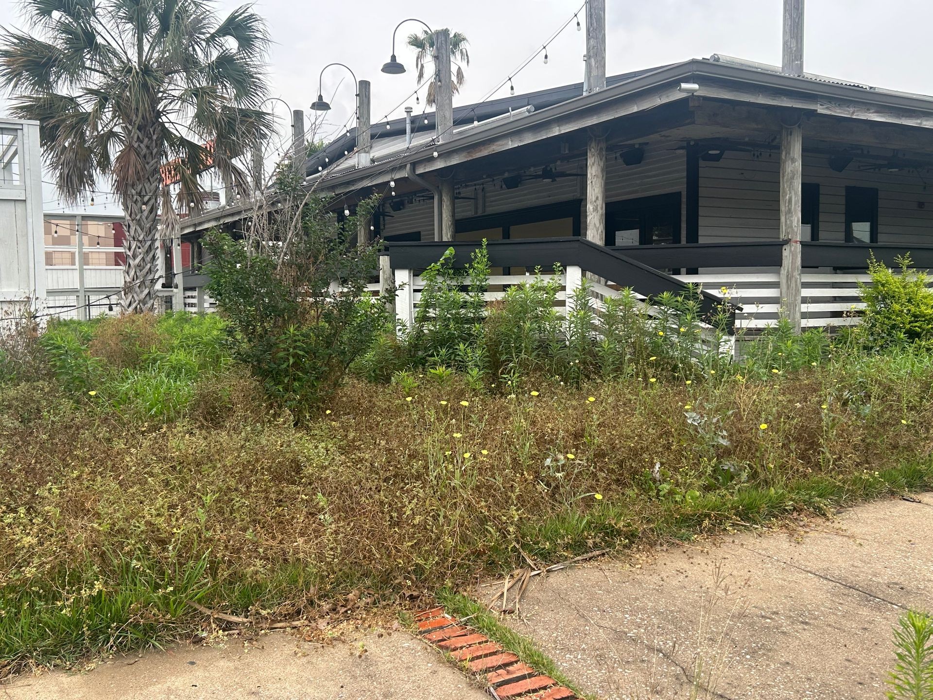 Overgrown recovery